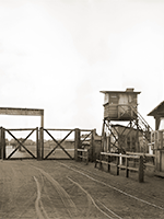 Метелкин Н. И. Метелкин Н. И.